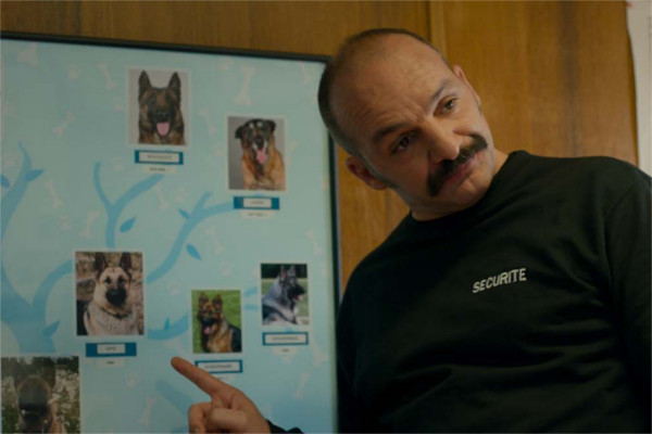 sve-zbog-jednog-mede-01 sve-zbog-jednog-mede-01