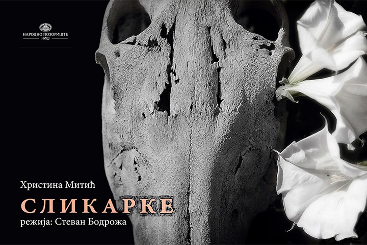 slikarke-narodno-pozoriste-nis-poster-sajt slikarke-narodno-pozoriste-nis-poster-sajt