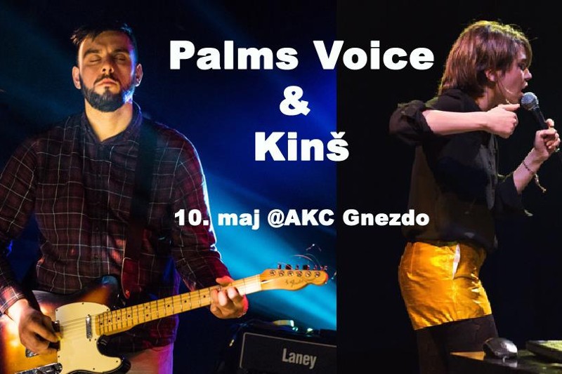 palms-voice-kinsh palms-voice-kinsh