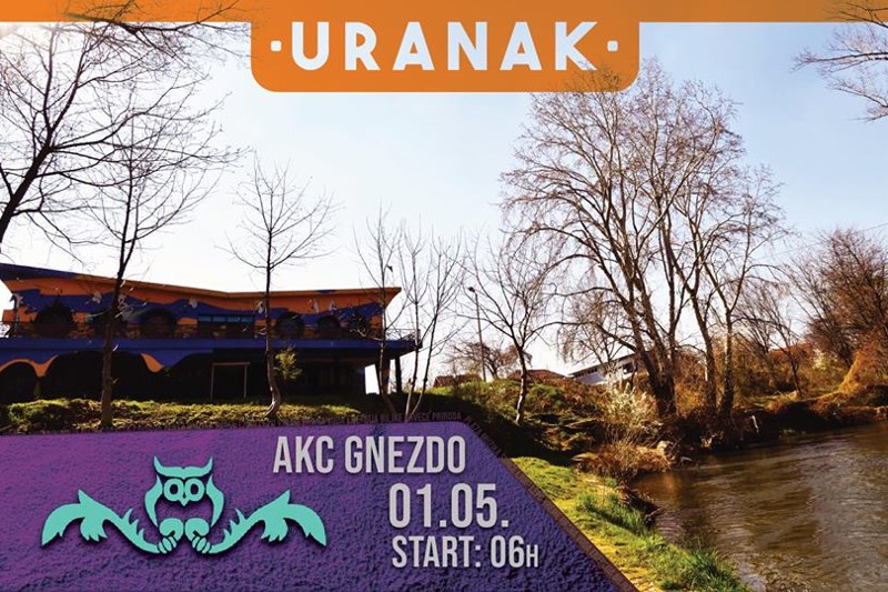 uranak-gnezdo uranak-gnezdo