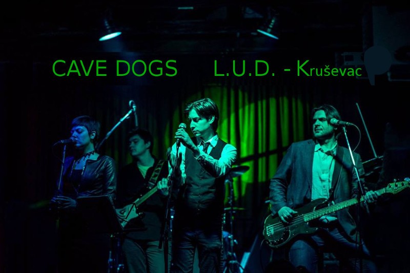 cave-dogs-800x533 cave-dogs-800x533